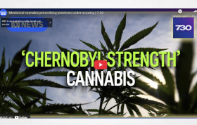 Australia ABC News TV report featuring Michael Balderstone: Medicinal cannabis prescribing practices under scrutiny | 7.30